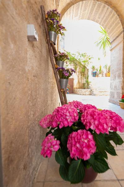Il Saraceno Apartment Giovinazzo Eksteriør billede