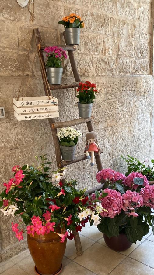 Il Saraceno Apartment Giovinazzo Eksteriør billede