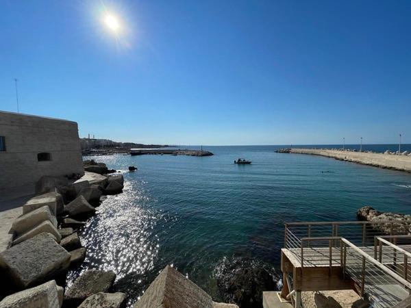 Il Saraceno Apartment Giovinazzo Eksteriør billede